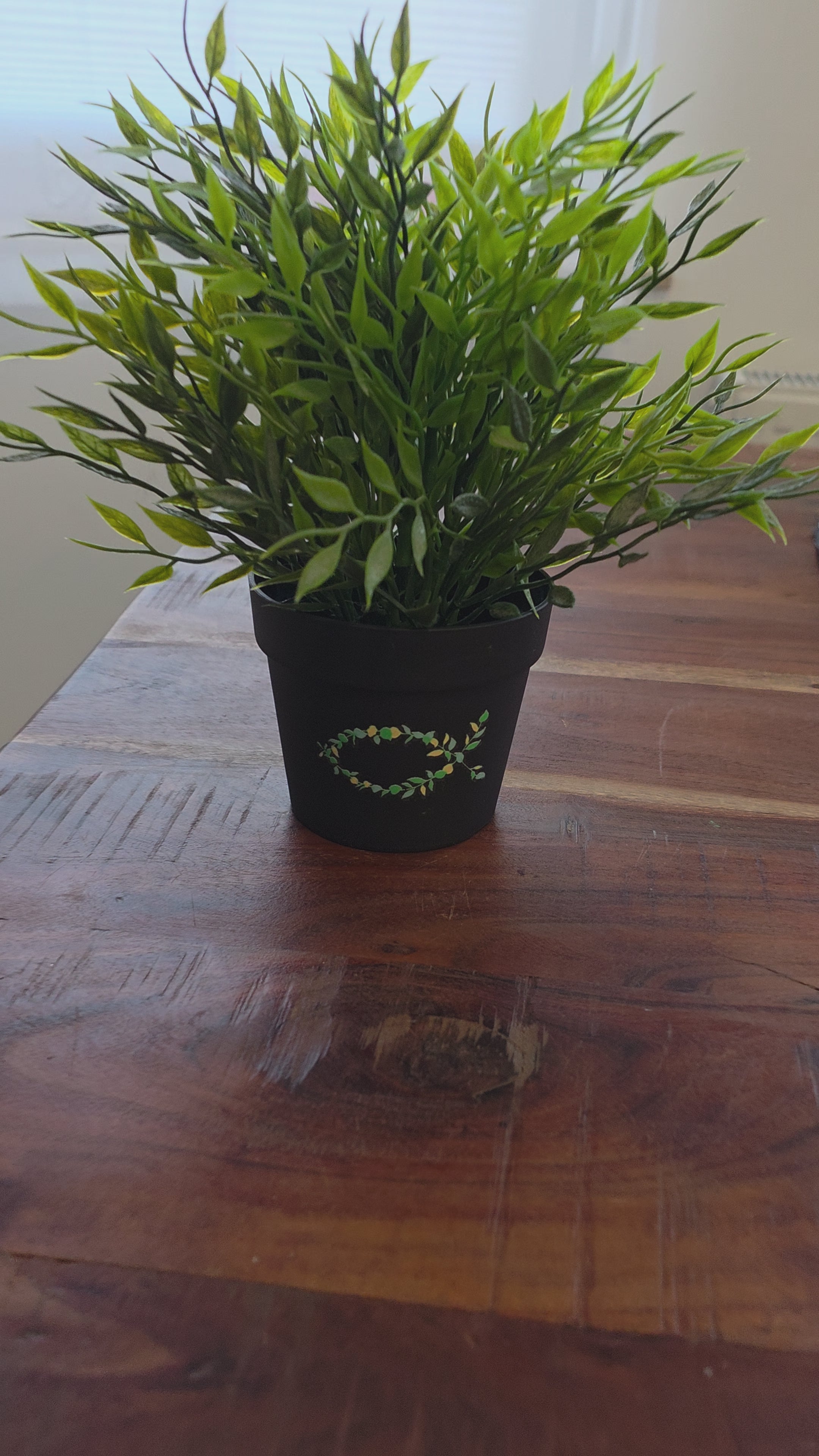 Glaubenssticker - Eucharistischer Fisch Pflanze